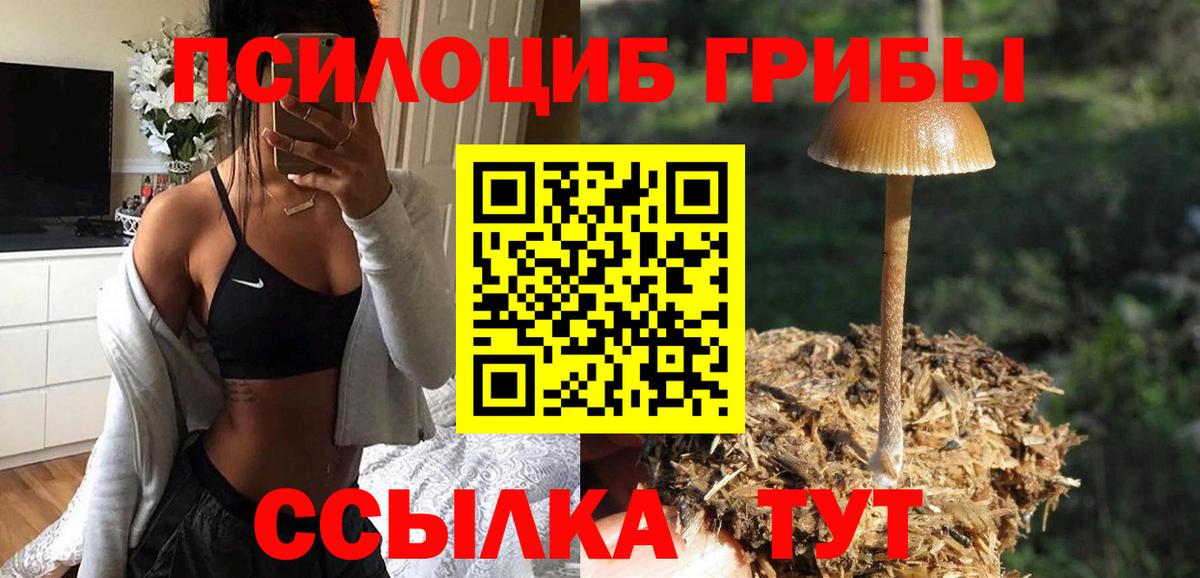 Псилоцибиновые грибы мухоморы Подольск