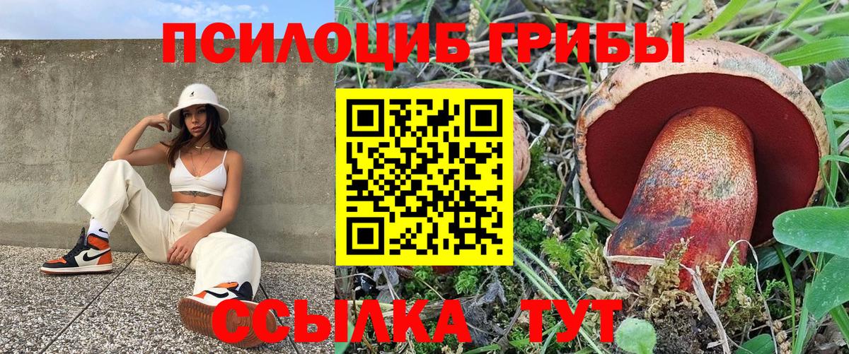 Подольск  Псилоцибиновые грибы Magic Shrooms  Галлюциногенные грибы Psilocybine cubensis  Вход с VPN 