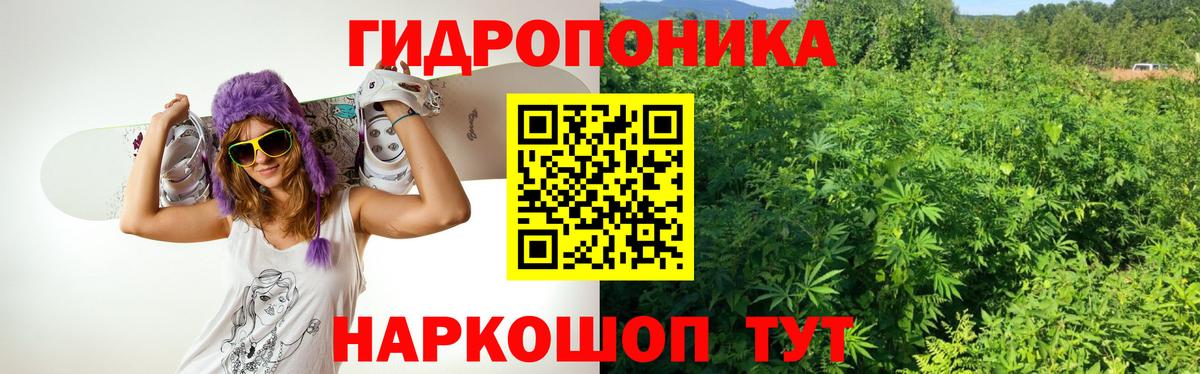Подольск  Канабис Amnesia  Бошки Шишки семена  Вход с VPN  МАРИХУАНА семена 